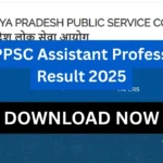 MPPSC Assistant Professor Result 2025 > Selection List Released for Marathi Subject, Merit Details Inside